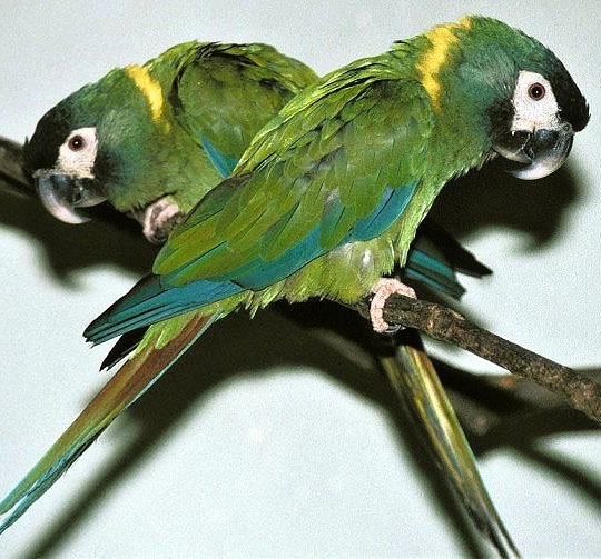 Foto 6